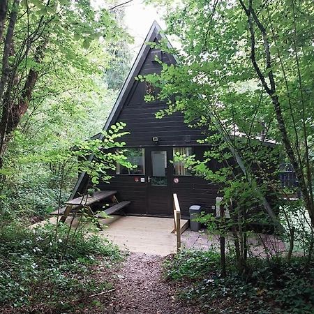 De Bosannemoon In Durbuy Villa Eksteriør billede