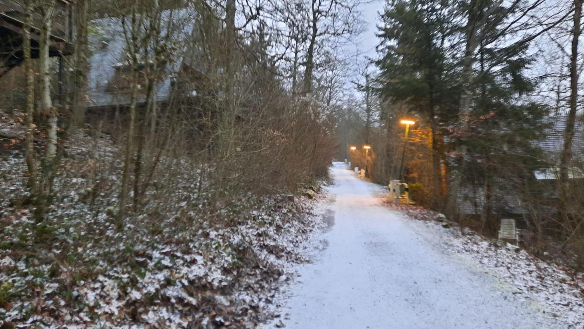 De Bosannemoon In Durbuy Villa Eksteriør billede