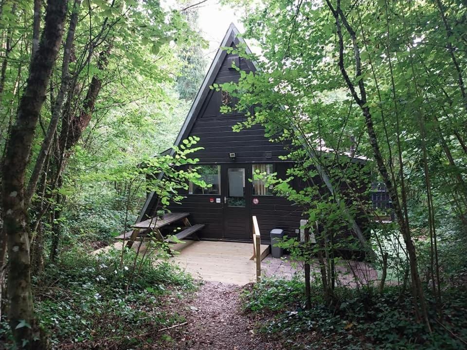 De Bosannemoon In Durbuy Villa Eksteriør billede