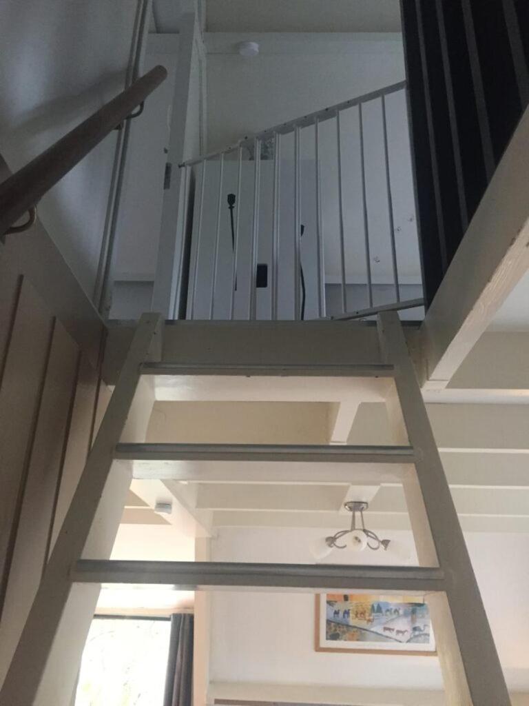 De Bosannemoon In Durbuy Villa Eksteriør billede
